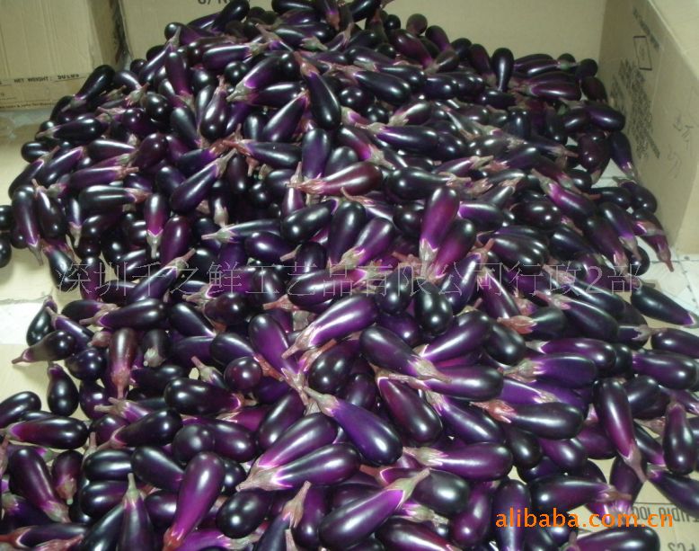 【大量供应仿真蔬菜模型 水果模型 仿真食物模