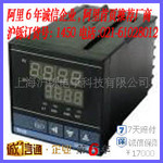 热卖!CD101高性价比智能数显仪表
