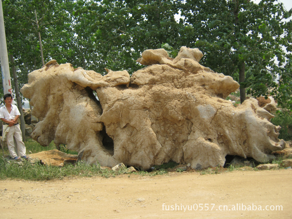 金钱石 灵璧石 _ 金钱石 灵璧石价格报价 _ 安徽
