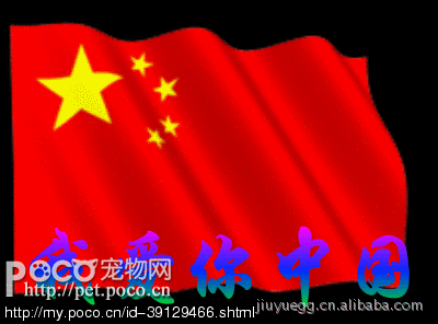 【国旗 五星红旗1#~6# 批发 定做】价格,厂家,