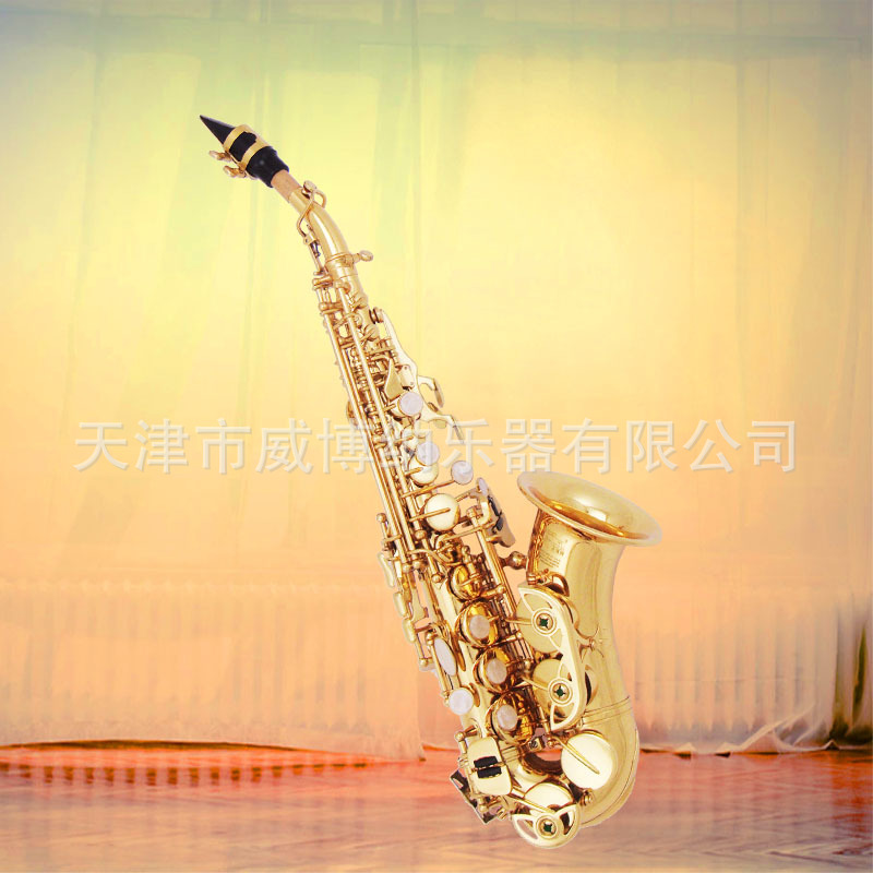 【威博纳WIBONA乐器】降B调女士儿童高音萨