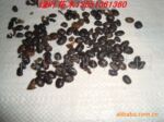 ��֤��ѿ����ľ���ӣ���ľ���ӣ��������ӣ���������