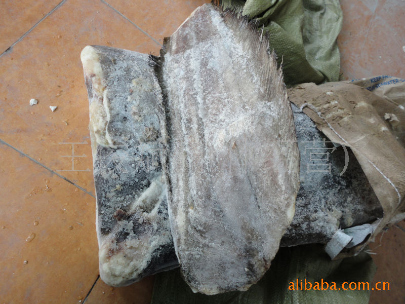 【冻俄罗斯比目鱼】价格,厂家,图片,鲜活\/冷冻水