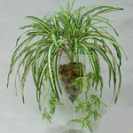批发吊兰盆栽,仿真花植物,垂挂吊兰,阳台/厨房装饰花