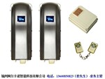 安防监控系统的益友-遥控平开门机