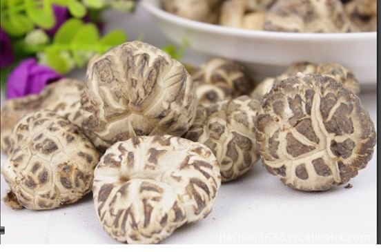 【四川青川农家自产椴木野生极品小花菇香菇土