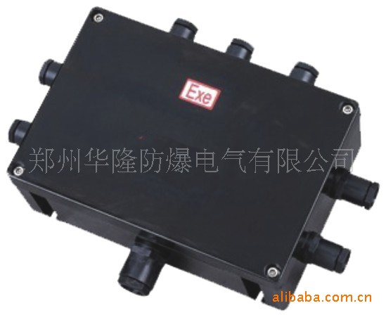 BXJ8050系列防爆防腐接線箱（IIC）
