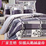 厂家直销 天鹅绒加厚保暖印花四件套、六件套 素雅年华 双人床