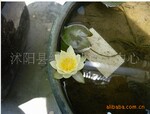 �ձ�����С˯��������ܽ��������˯�� �������Զ�����