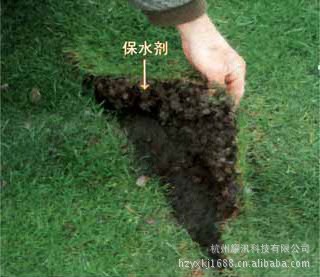 丙烯酸树脂-高吸水性树脂(SAP)-用于园艺保水