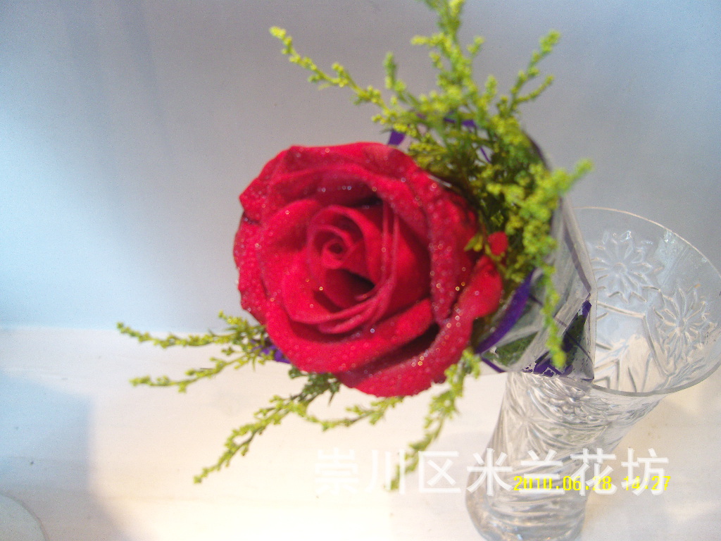 【米兰鲜花市区免费送货 各种颜色单支玫瑰】