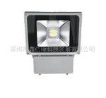 ���ʹ�ӦLED�����RV-FGD-80W