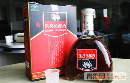 【喝酒就能治病 乐邦龟蛇酒 保健酒 厂家直拱大