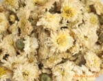 供应黄山贡菊特级清火明目菊花茶5000克/箱散装花草茶