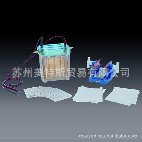 DYCZ-24EN型,双垂直电泳仪(槽)(中号)