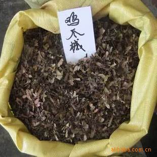 鸡爪槭种子120元一斤 当年新采收 鸡爪枫，槭树种子