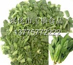 供应2011年春季脱水菠菜(图)