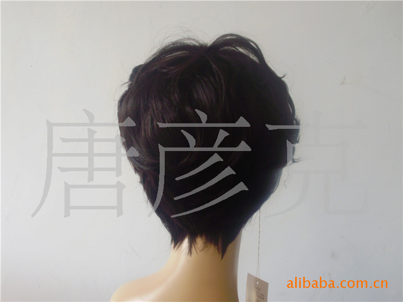 金凯丽人发假发 直销人发假发 供应人发假发图