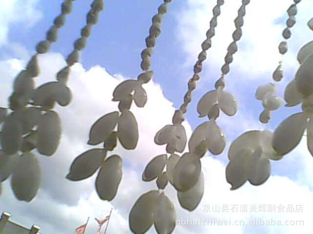 (小额批发)纯天然海螺风玲--大宝螺风玲图片,(小