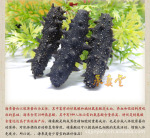 大连60头淡干海参:【珍贵食材 老少咸宜】欢迎社会各界和我商洽