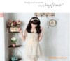 2011夏装新款vivi~日系华丽丽唯美蝴蝶结小碎花雪纺连衣裙_1015