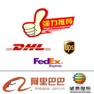 深圳到保加利亚快递 一级代理 同城免提货费(图