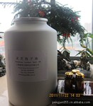 ����һ��������֥������ ������������30%  ���ҹ�Ӧ