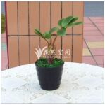 迷你琵琶叶 塑胶高仿真植物 插花配草 高档装饰花