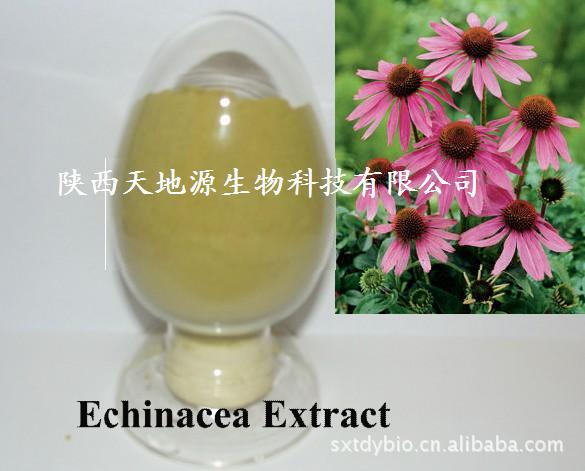 供應獸用藥紫錐菊提取物4% 抗病毒抗流感Echinacea Purpurcea P.E