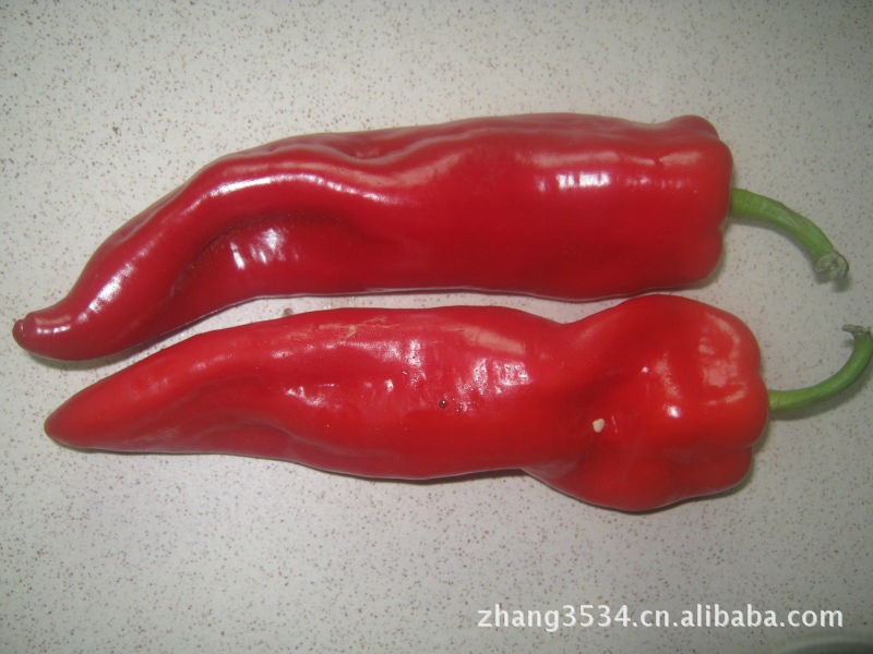 宁夏红河辣椒之乡新鲜红辣椒图片,宁夏红河辣