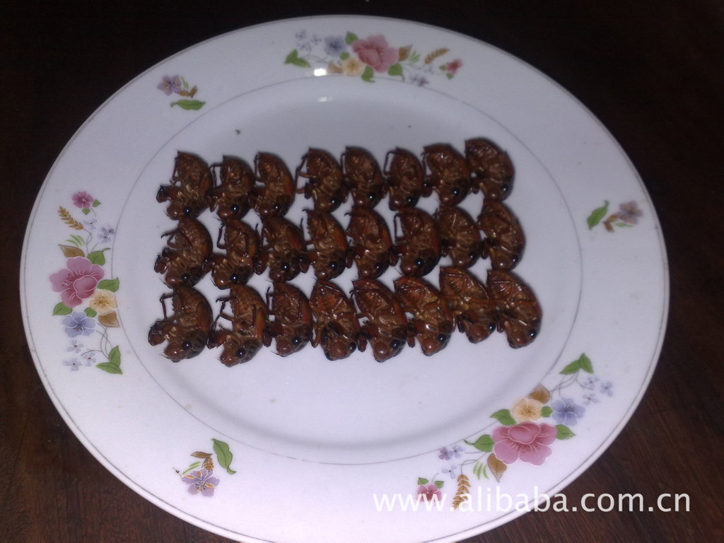 【正宗野生无毒无害蝉蛹卵】价格,厂家,图片,动