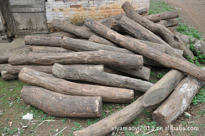 大量供应越南枧木图片_4