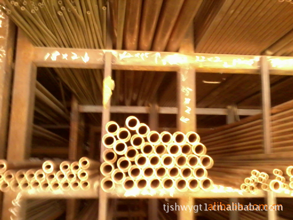 207648591_1238084529