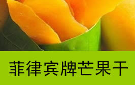 ���ڷ��ɱ��ƹ���