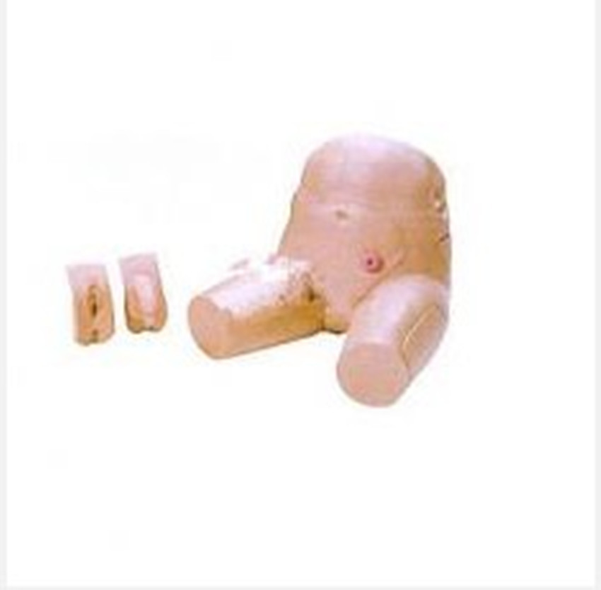 【高级下半身护理模型(男\女生殖器互换) 下半