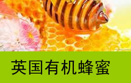 Ӣ�������Ʒ���