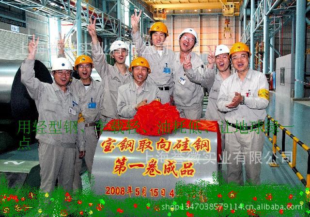 寶鋼HC860*1100MS   馬氏體高強度冷連軋鋼 公司可提供樣品工廠,批發,進口,代購