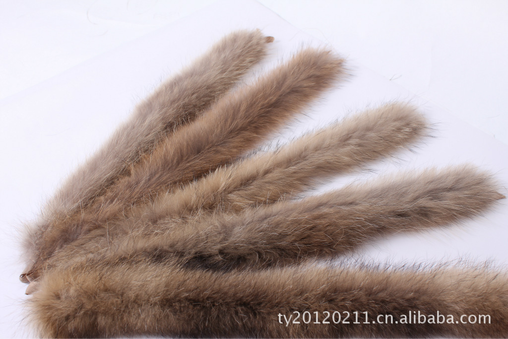 貉子毛条 貉子帽条 长60cm 毛绒宽11.5cm 毛峰宽13.5cm图片,貉子毛条 貉子帽条 长60cm 毛绒宽11.5cm 毛峰宽13.5cm图片大全,桐乡市天元皮草有限公司-马可波罗网