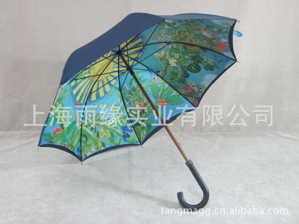 定制礼品伞 油画伞 蓝天白云伞 龙猫伞 卡通雨伞