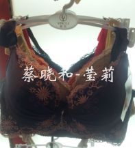 【厂家直销2012秋冬最新款<em>莹莉文胸</em>B杯型聚拢