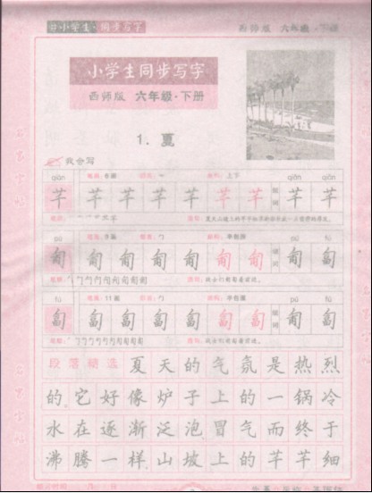 【正版 邹慕白字帖 小学生语文课堂写字6年级