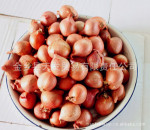 �ҹ�˾������ ë�� ���ڼ� ��ӭ��ѯ
