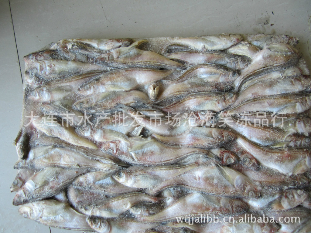 冷冻粗加工水产品海鲜冻品雷鱼