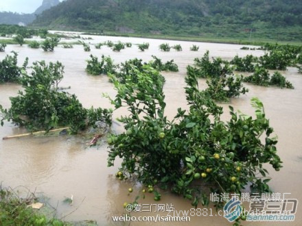 又是龙年台风来浙江,最新预测登陆点又在象山