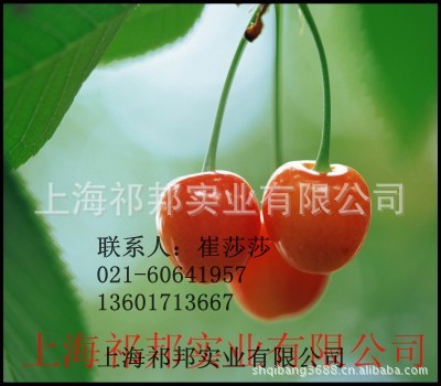 conew_conew_16cb8006d9cab4304b