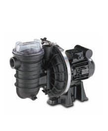 供应美国最新滨特尔泳池水泵5P2R系列水泵图