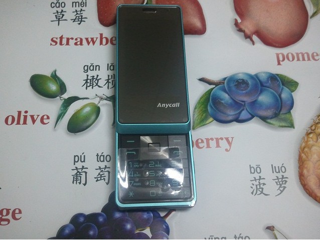 Мобильный телефон Samsung S5580 Мобильный телефон Samsung S5580