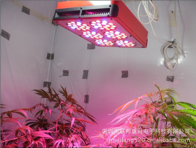 LED植物灯、植物生长灯