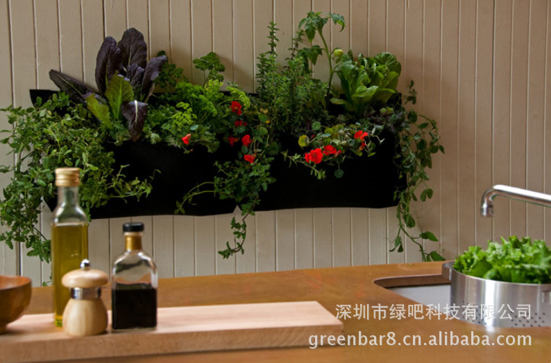 花盆容器-模块式绿墙种植\/室内外空间装饰 环保