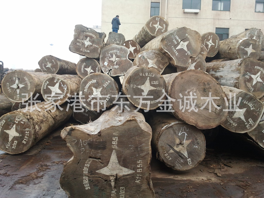 柚木王原木 大美木豆 Afrormosia摘亞木 阿夫莫西亞 仿緬甸柚木 高級(jí)家具用材 實(shí)木地板料材 刨切地板木皮 裝飾面板 